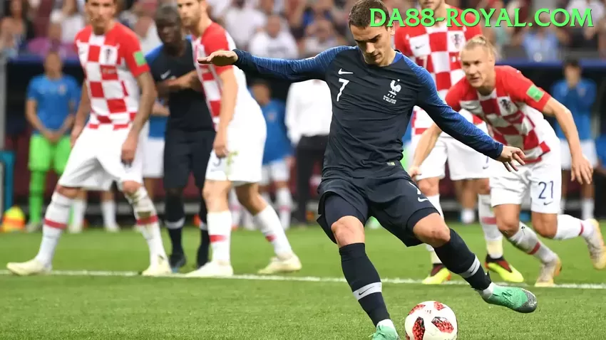 Descubra contavip: Guia Prático Para Iniciantes e Experts - pak